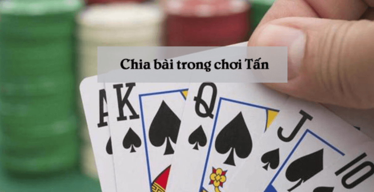 Quy tắc chia bài tấn Yo88