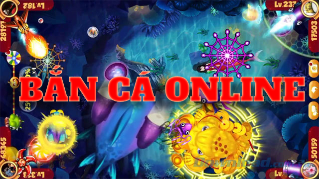 5. Chú Ý Thời Gian và Môi Trường Săn Cá