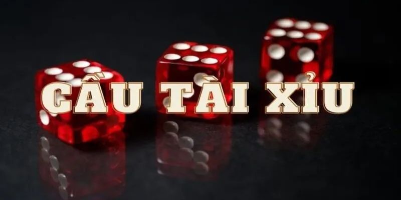 Các Loại Cầu Tài Xỉu Thường Gặp