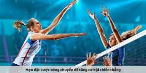 Cá Cược Bóng Chuyền Tại Yo88 – Sân Chơi Đầy Hấp Dẫn Cho Người Đam Mê