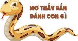Mơ Thấy Rắn Cắn Đánh Gì Tại Yo88 Để Trúng Lớn