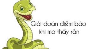 Mơ Thấy Rắn Cắn Đánh Gì Tại Yo88 Để Trúng Lớn